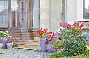 Flowers in vases at the entrance to a country house, town house. Entrance door with stairs decorated with blooming flowers in