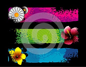 Flowers vector composition