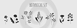 Flowers vector icon set. Botanical icons set. Simple flowers herbs icons for tattoo, print, poster, card