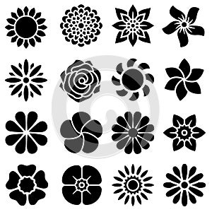 Flowers vector icons set. Beautiful garden plants illustration sign collection.