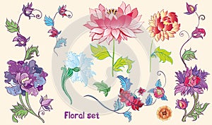 Flowers vector set with lotuses and peonies. asian theme