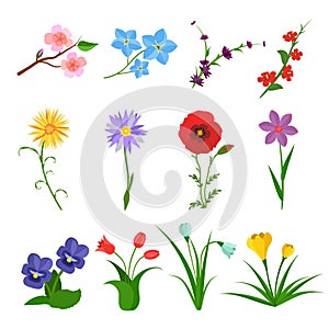 Flowers vector set on white background. Garden wild flower icons. Floral icons, summer spring flat. Rose, iris, tulip