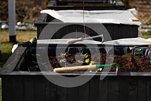 Flowers and vegetable planted in the recycle wooden box. The box was arranged and stacked nicely in the slanted rack. the gardener