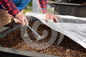 Flowers and vegetable planted in the recycle wooden box. The box was arranged and stacked nicely in the slanted rack. the gardener