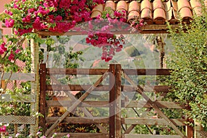 Gate with vegetation and blooming bounganville  small community of CabeÃÂ§a de Boi village in Minas Gerais photo