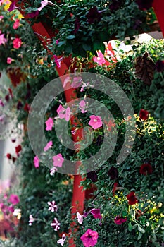 Flowers on the vertical garden.