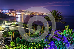 Flowers and view of Laguna Beach at night