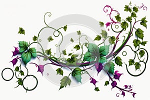 Flowers Vines. Artwork, Artist. Isolated on white background.