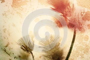 Flowers in vintage color style on mulberry paper texture