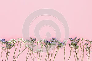 Flowers violet and white gypsophila on the bottom side of pink paper background.
