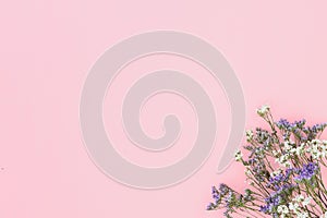 Flowers violet and white gypsophila on the pink paper background in a corners.