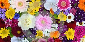 Flowers wall background with amazing red,orange,pink,purple,green and white field or wild flowers , Wedding decoration, hand made