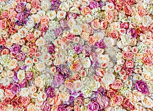 Flowers wall background with amazing red and white roses, Wedding decoration,