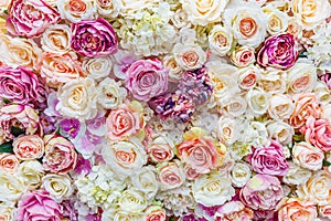 Flowers wall background with amazing red and white roses, Wedding decoration,