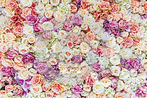 Flowers wall background with amazing red and white roses, Wedding decoration,