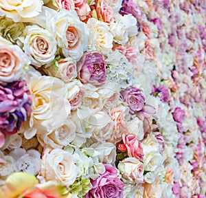 Flowers wall background with amazing red and white roses, Wedding decoration