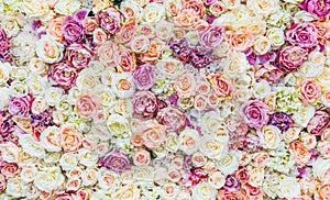 Flowers wall background with amazing red and white roses, Wedding decoration, hand made