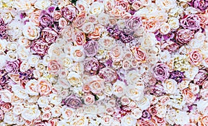 Flowers wall background with amazing red and white roses, Wedding decoration, hand made.
