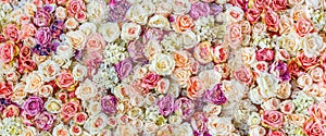 Flowers wall background with amazing red and white roses, Wedding decoration, hand made