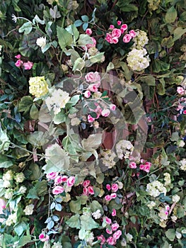 Flowers wall background with amazing roses