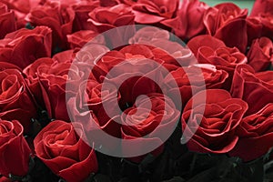 Flowers wall background with amazing roses, vintage style,red roses