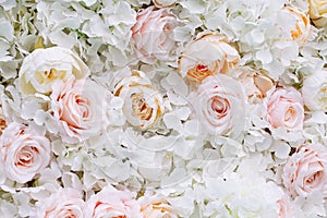 Flowers wall background with white and light orange roses