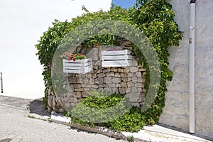 Flores sobre el muro de trulli a lo largo de calles sobre el, 