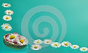 Flowers in walnut shell floats on the water