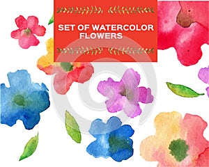 Flowers wanercolor set