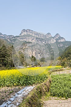 flowers and The Warehouse under The Cliff (Yaxiaku) Scenic