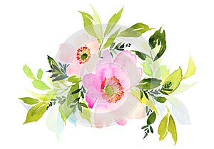 Flowers watercolor illustration.