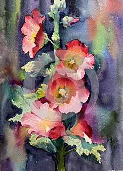 Flowers watercolor illustration. Delicate bouquet. Picture painting for design of posters, card, invitations for