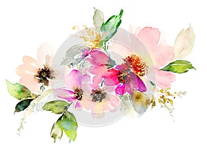 Kvety akvarel ilustrácie 