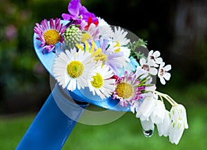 Flowers on watering can