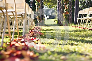 Flowers In A Wedding Aisle photo