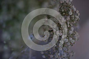 Flowers from a wedding