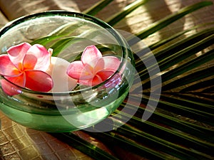 Flowers at Wedding, Mauritius