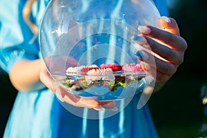 Flowers on whater inside balloon. in the hand of a woman blue dress on a outdoor summer background