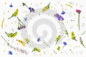 Flowers on white background. Top view, flat lay