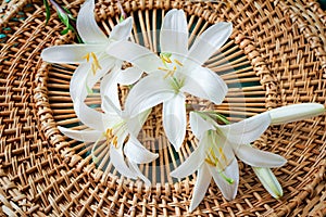 Flowers of a white lily close up.