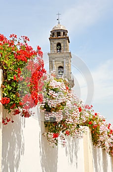 Flowers on the white streets of Andalucia photo