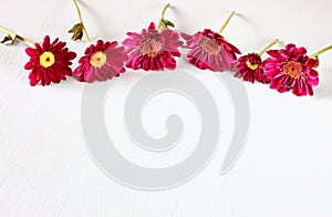 Flowers on white textured wood background