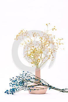 Flowers in white vase on white background