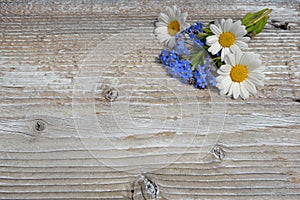 Flowers on a white wooden board