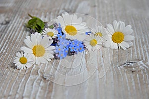 Flowers on a white wooden board