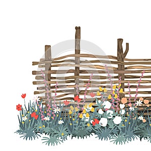 Flowers and wicker fence made of flexible willow or hazel wood, vector isolated illustration. Rustic wooden fence