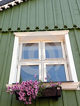 Flowers window