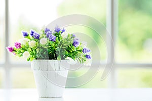 The flowers with window background in the morning