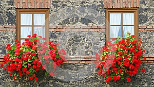 Flowers in window boxes