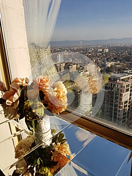 Flowers, window and city landscape.
